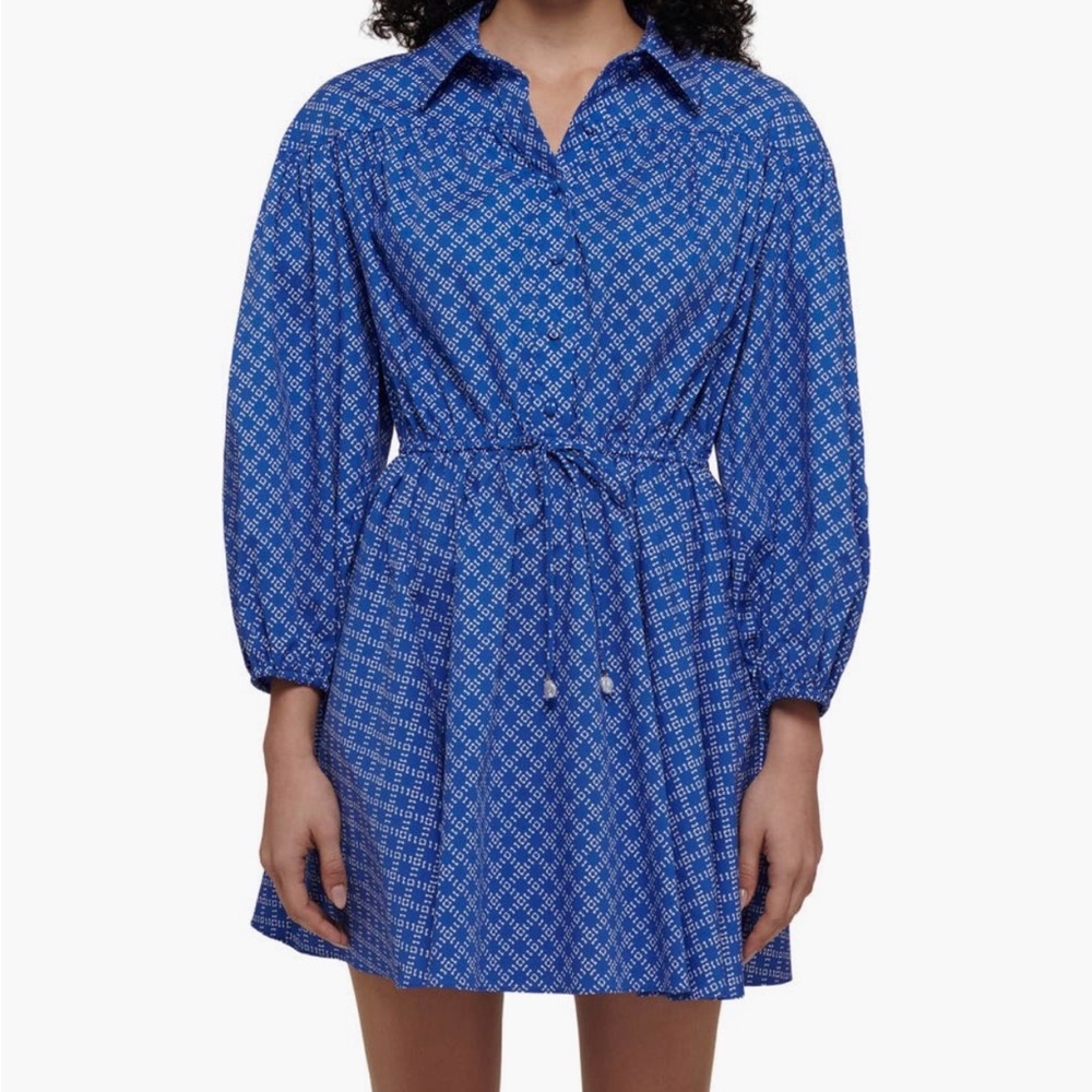 Derek Lam Long Sleeve Blue Patterned Dress
